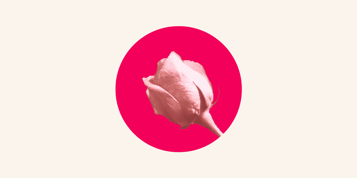 project cover
